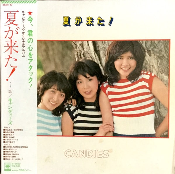 夏が来た！（1976年）